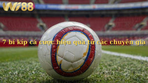 Bí quyết cá cược thành công từ người chơi lão luyện