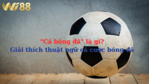 "Cá bóng đá" - Khái niệm cơ bản cho người mới