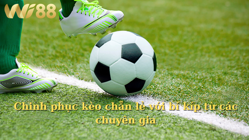 Chinh phục kèo chẵn lẻ với bí kíp từ các chuyên gia