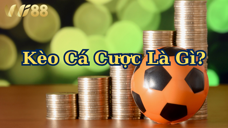 Kèo cá cược là gì? Hiểu đúng bản chất để không bay màu sớm