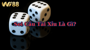Soi cầu tài xỉu chuẩn xác – bước đầu tiên để săn bão trúng đậm cực lớn