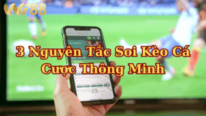 Thắng lớn tại Wi88 nhờ áp dụng 3 nguyên tắc soi kèo cá cược thông minh